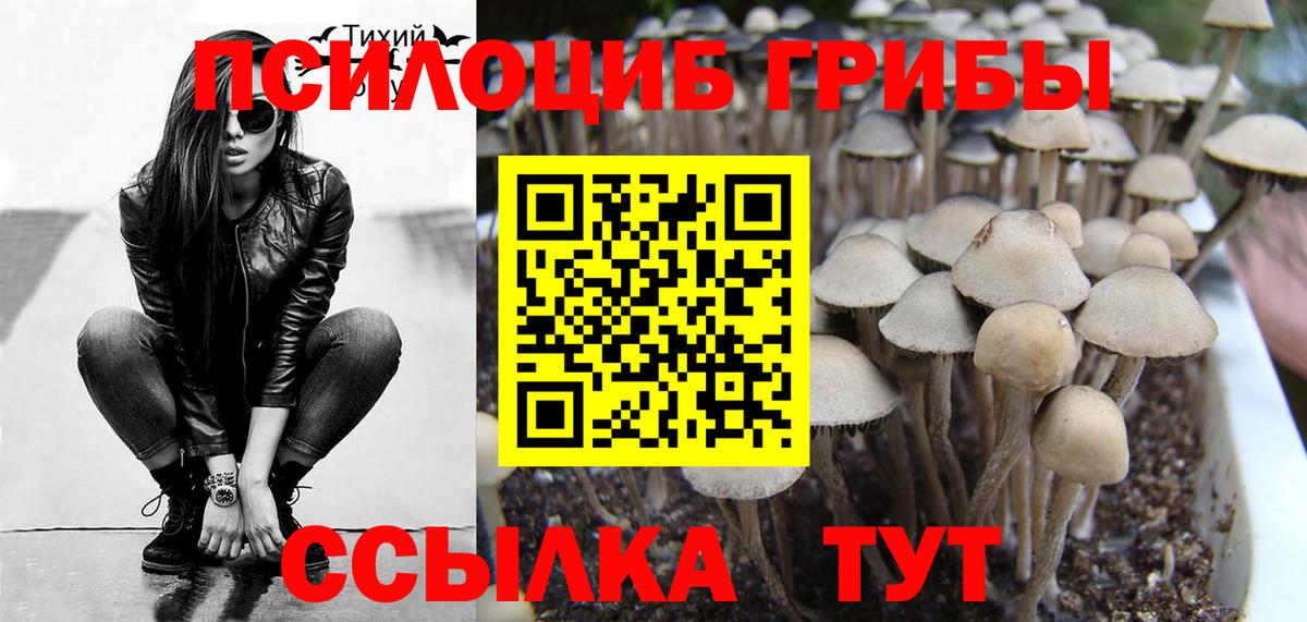 Галлюциногенные грибы ЛСД  Вход с VPN  Муравленко 